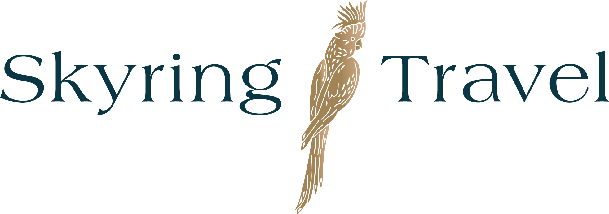 Skyring Travel